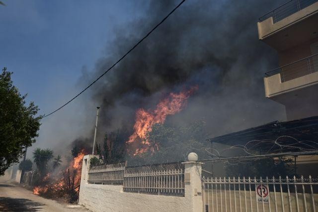 Σε αποδιοργάνωση ο κρατικός μηχανισμός στην αντιμετώπιση των καταστροφικών πυρκαγιών