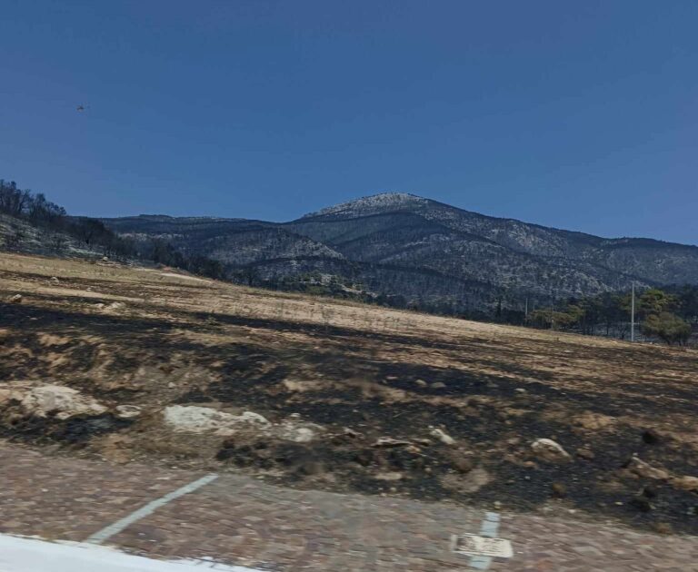 Ο Πρόεδρος των «ΣΠΑΡΤΙΑΤΩΝ», Βασίλης Στίγκας στην Πάρνηθα: «Το τοπίο καταστροφής είναι έργο… της ανίκανης κυβέρνησης Μητσοτάκη!»